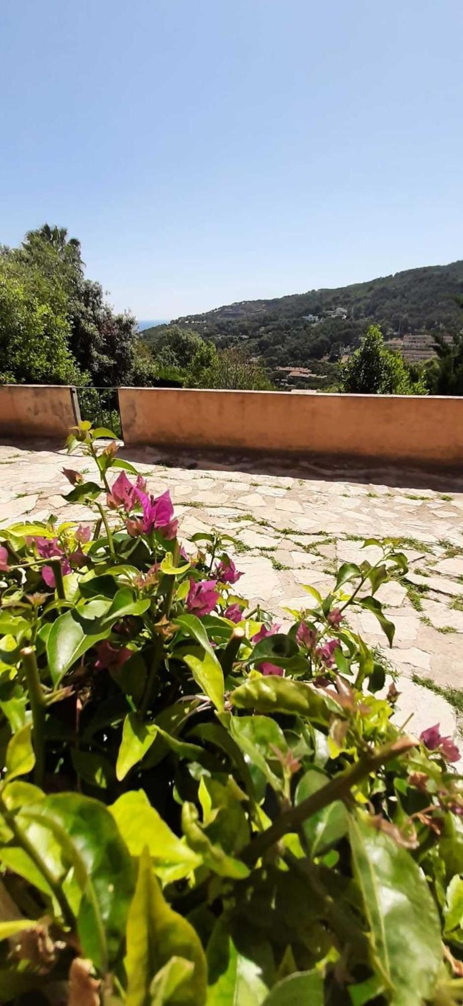 Corti Mori Sa Riera Vistas Mediterraneas Begur Ngoại thất bức ảnh