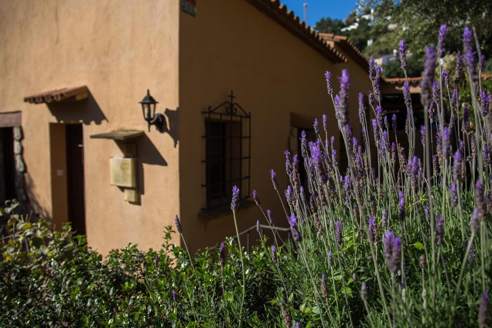 Corti Mori Sa Riera Vistas Mediterraneas Begur Ngoại thất bức ảnh
